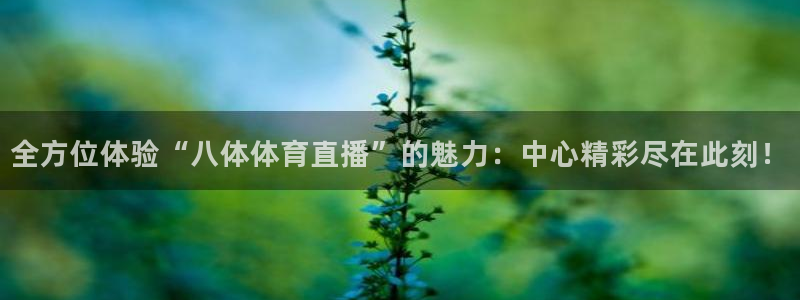 柠檬大秀直播