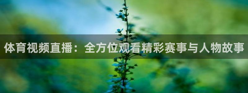柠檬足球体育直播